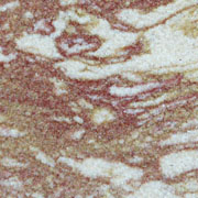 Image 04